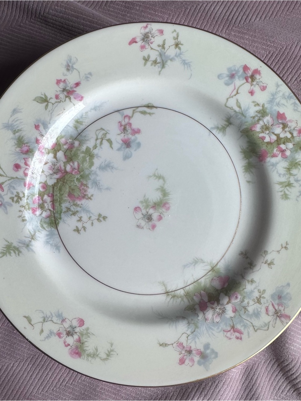 Set of 5 Theodore Haviland Apple Blossom porcelain plates 7.5 inches